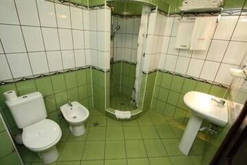 Фото номера Двухместный номер с 1 кроватью Гостевой дом Pensiunea Vranis г. Садова 8