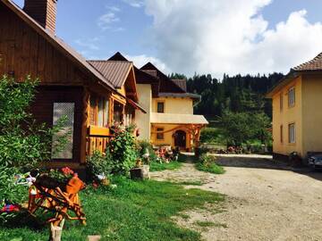Фото Гостевой дом Casa Irinuca г. Садова 5