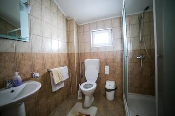 Фото номера Трехместный номер с ванной комнатой Фермерские дома Pensiunea Casa-Stefanel г. Садова 5